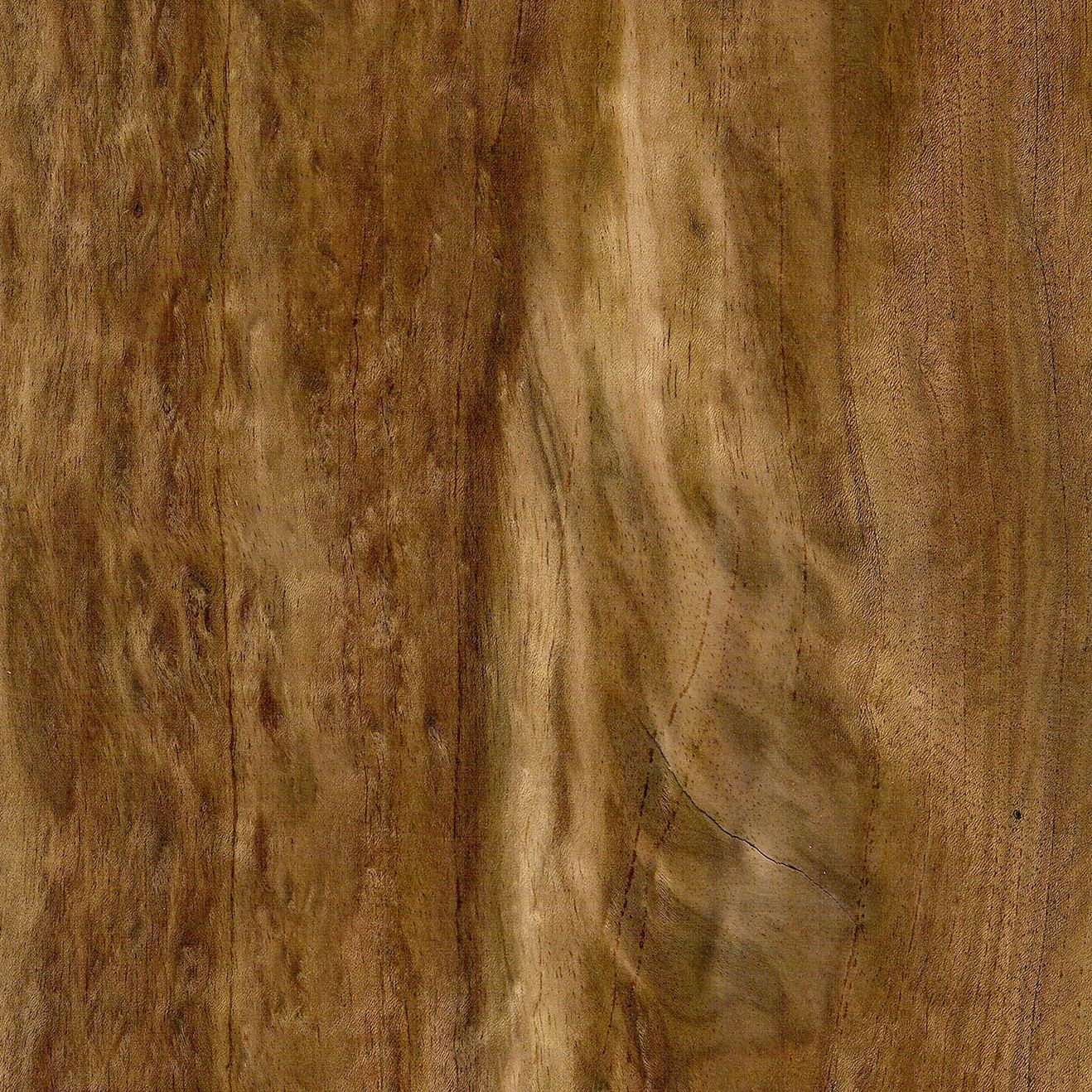 African lovewood tiger pattern Tiger Etimoe