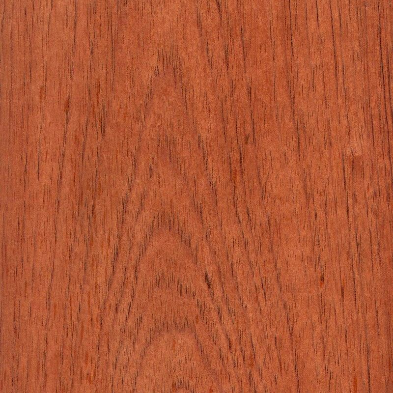 Spanish Cedar