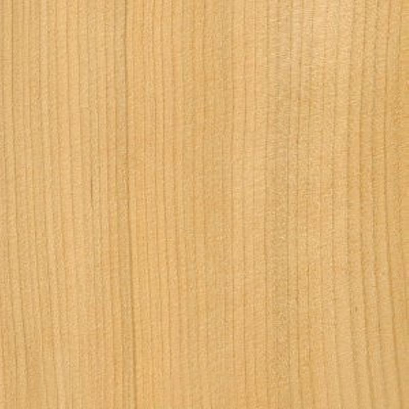 Lebanon Cedar