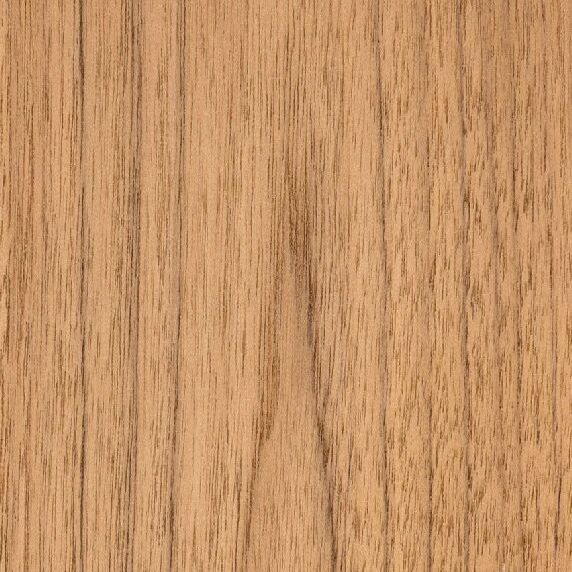 Planting Teak