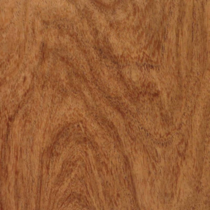 African Mesquite