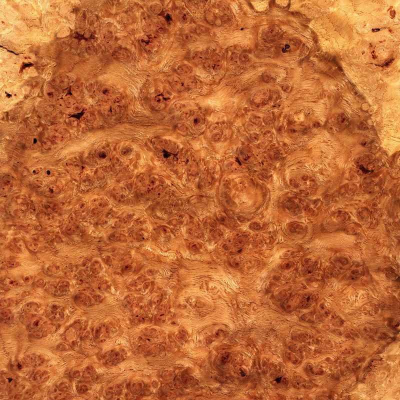 Brown Oak Burl