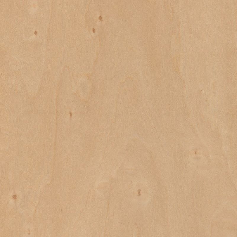 Birch Cluster