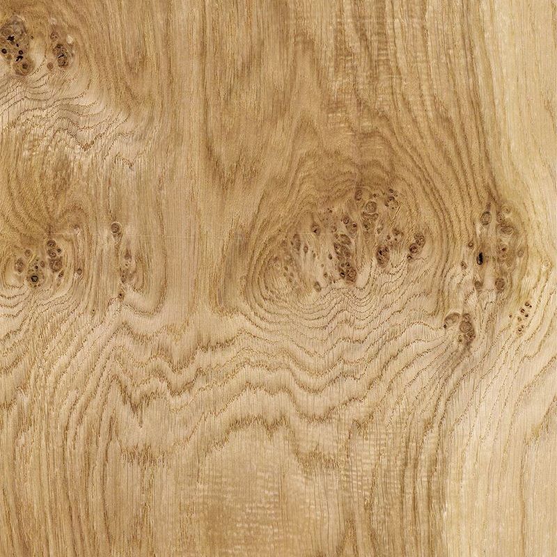 European pigpy oak