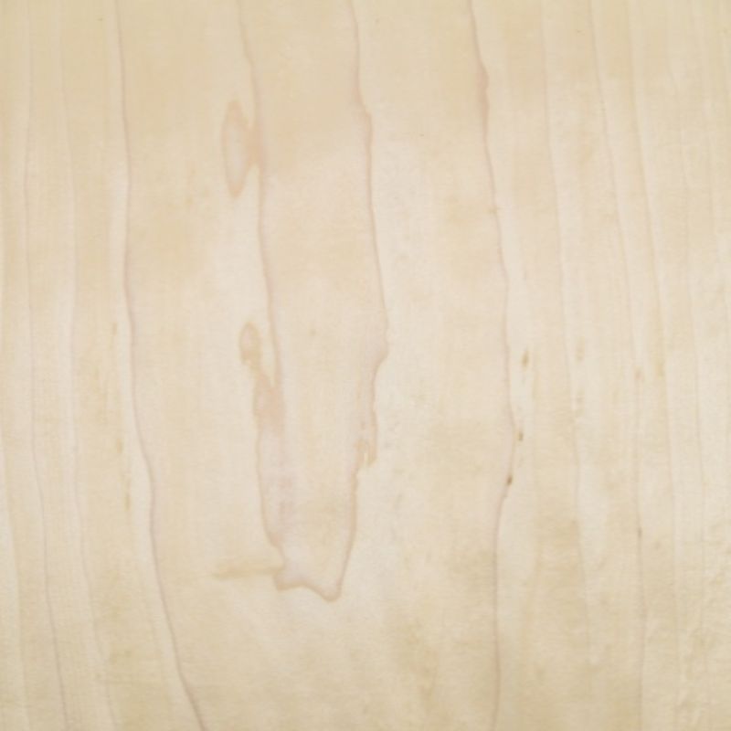 White Poplar