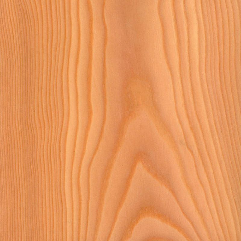 落叶松山纹 Larch Crown