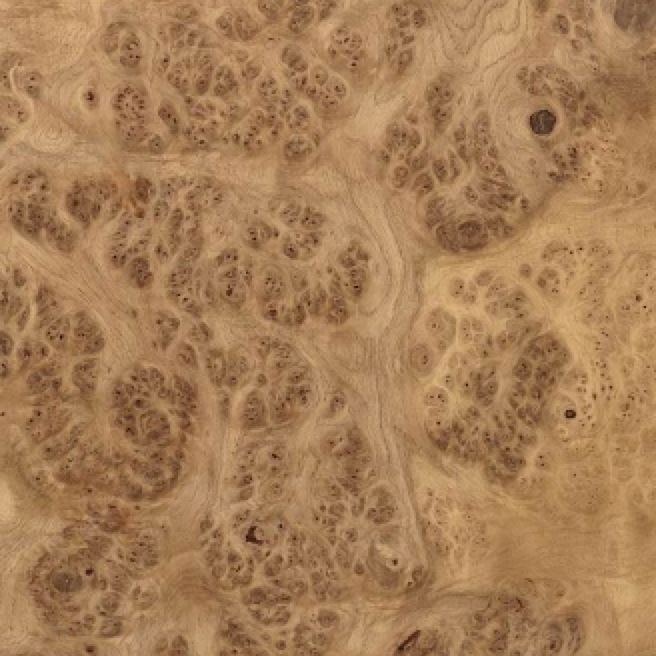 欧洲白橡树瘤 European Oak Burl