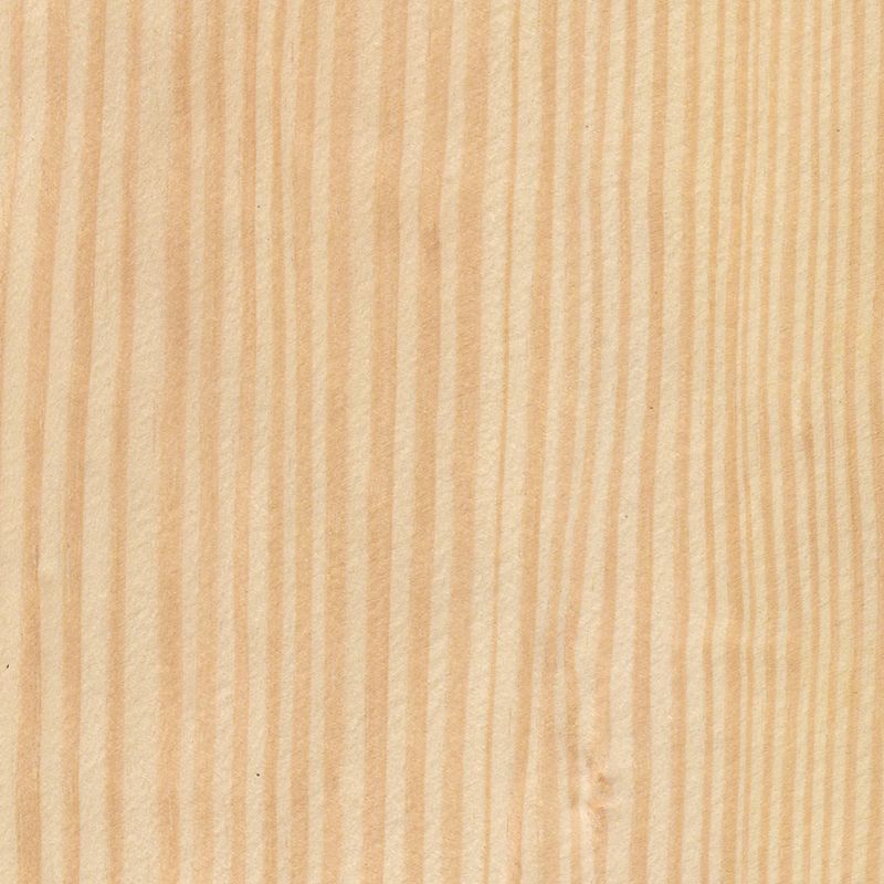 Douglas fir Douglas fir