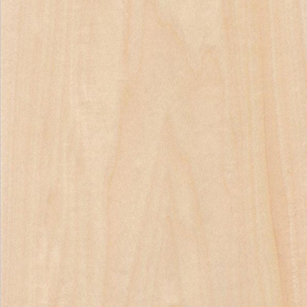 Basswood Crown