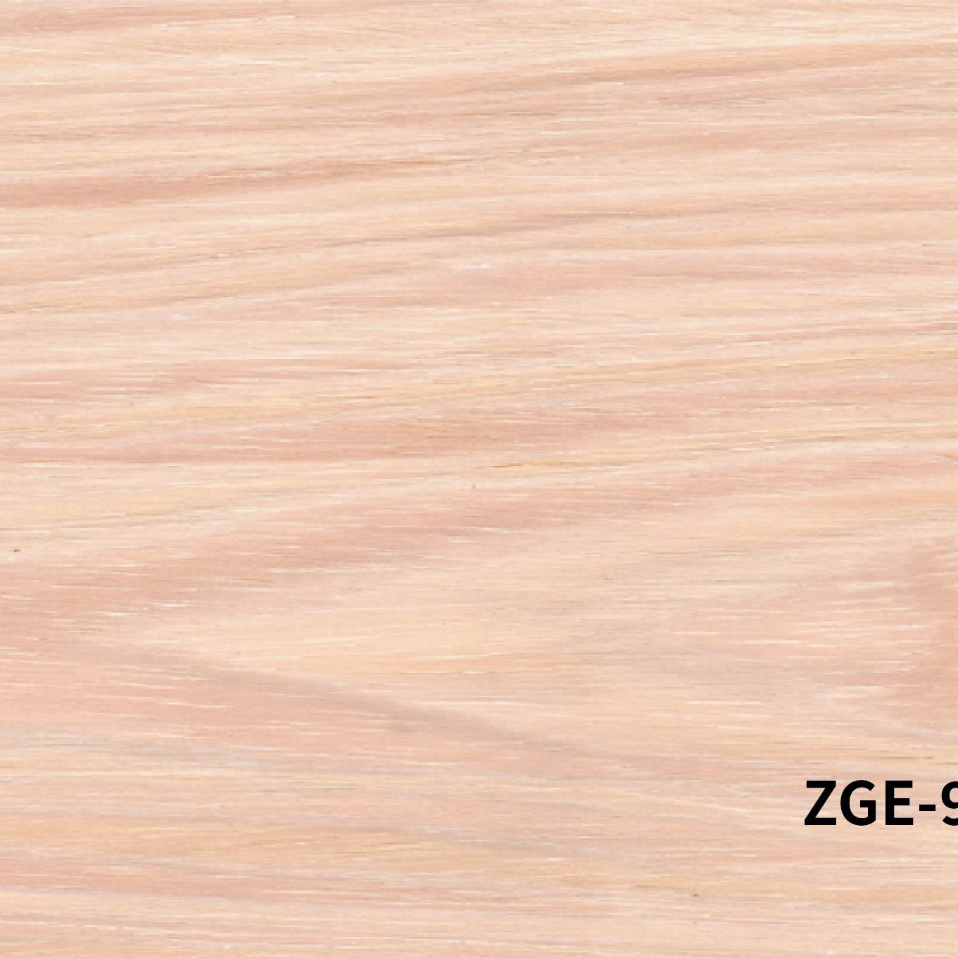 ZGE-9312