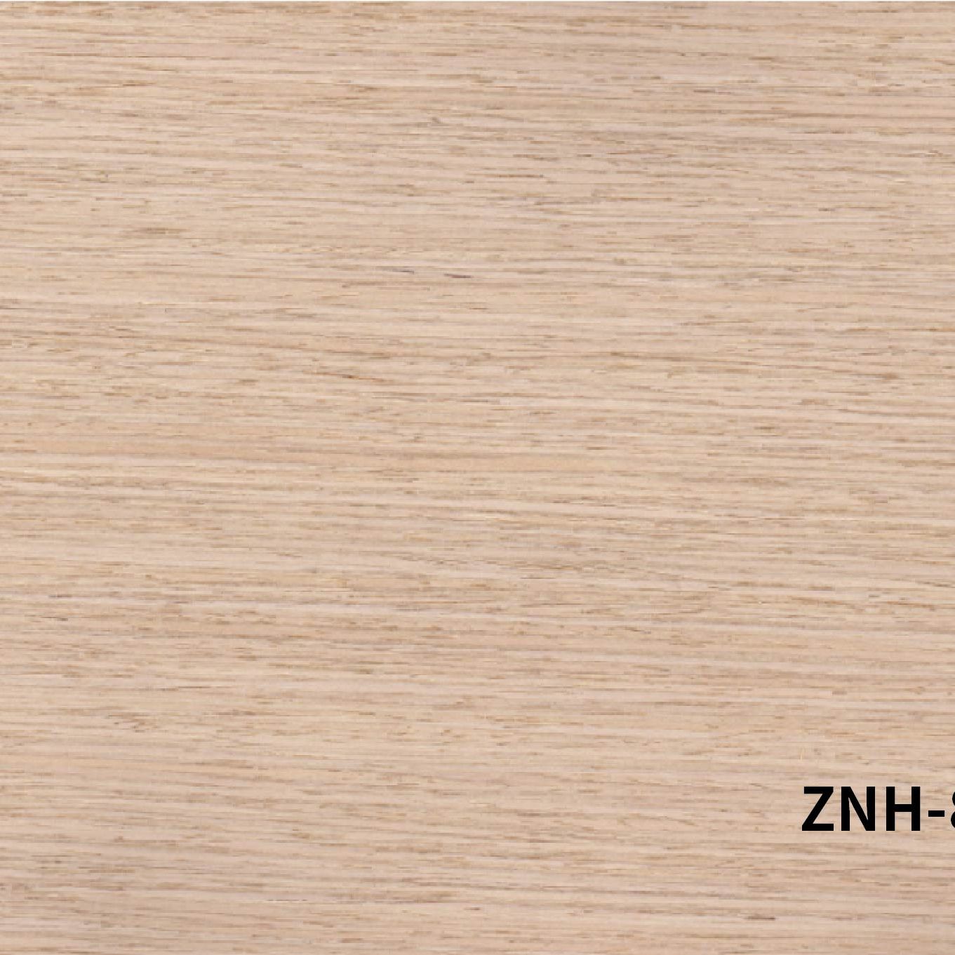 ZNH-8867