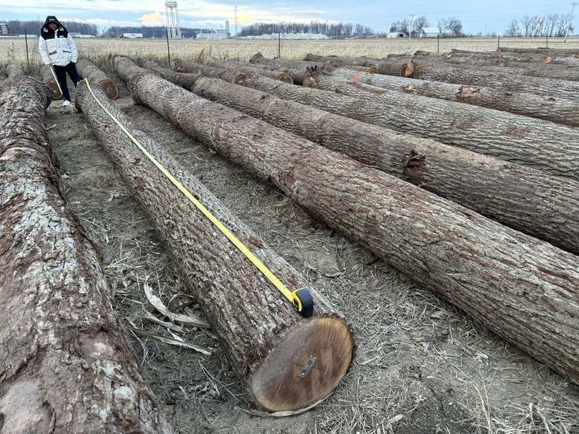 Length verification