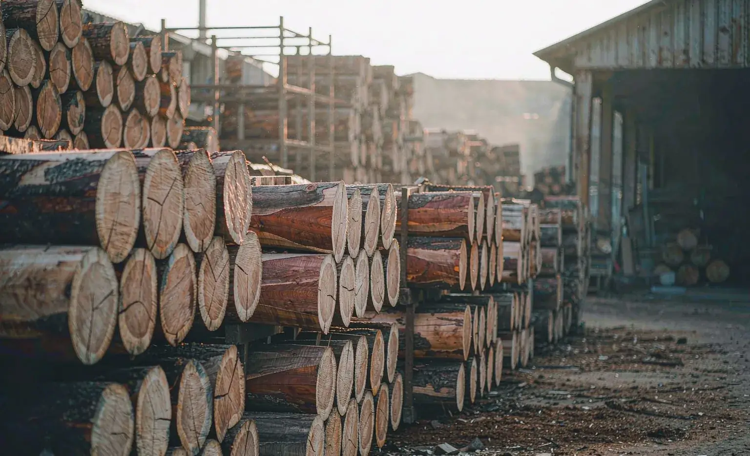 Log Business